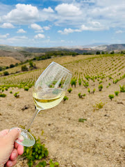 Bodega Sommos Garnacha