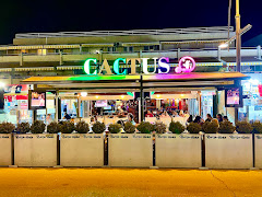 Cactus bar