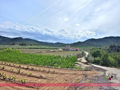 Celler Mas de les Vinyes - Vins DO Montsant