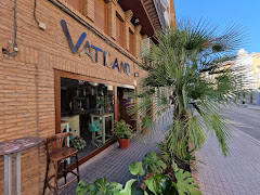 El vaticano