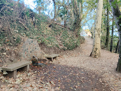 Font de la Corbadora