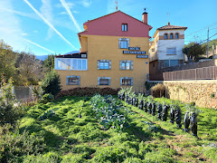 Hotel Gomar
