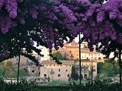 Hotel Rural HD Riudebitlles