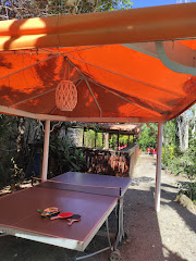Pub Claret