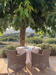 Restaurant Can Roquet