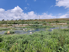 Río Francolí