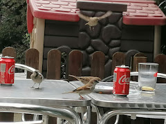 Terraza Bar Tarragona