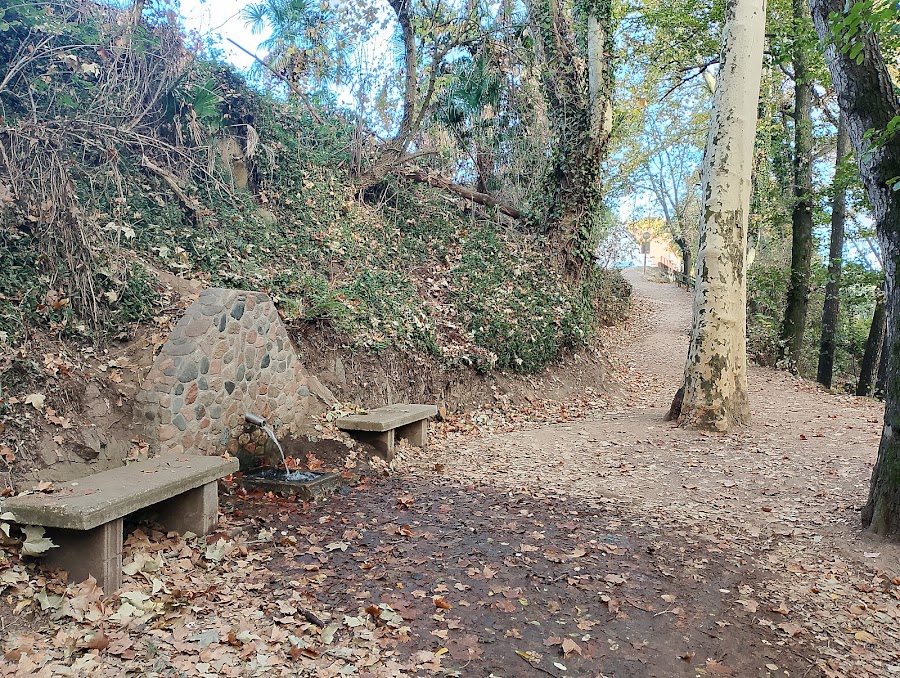 Font de la Corbadora