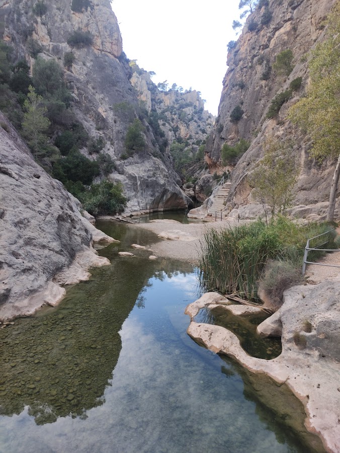 Zona de pícnic de la Fontcalda